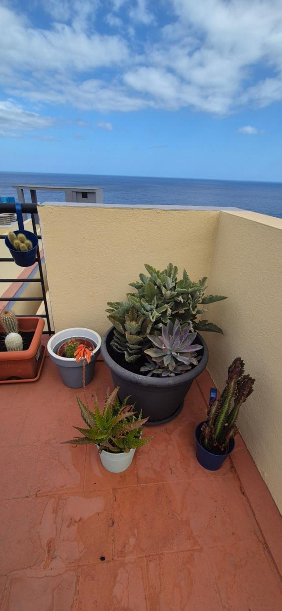Meerblick Caletillas Candelaria Exterior foto